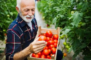 Compléments nutritionnels des personnes âgées à domicile : conseils pour l’aidant